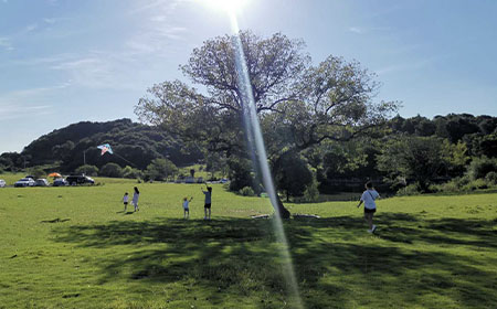 金石包裝（嘉興）有限公司地下水、土壤檢測報告公示